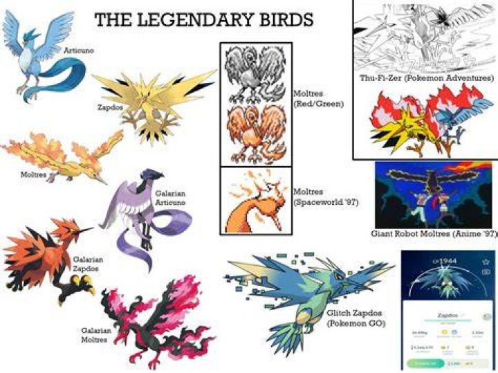 What are the four Legendary Birds?